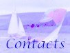 View contact details